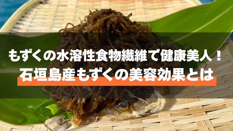 【最新版】もずくの食物繊維で健康美人になる方法!美容効果を徹底解説