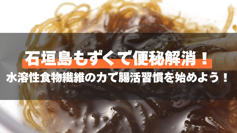 石垣島もずくで便秘解消!水溶性食物繊維の力で腸活習慣を始めよう!