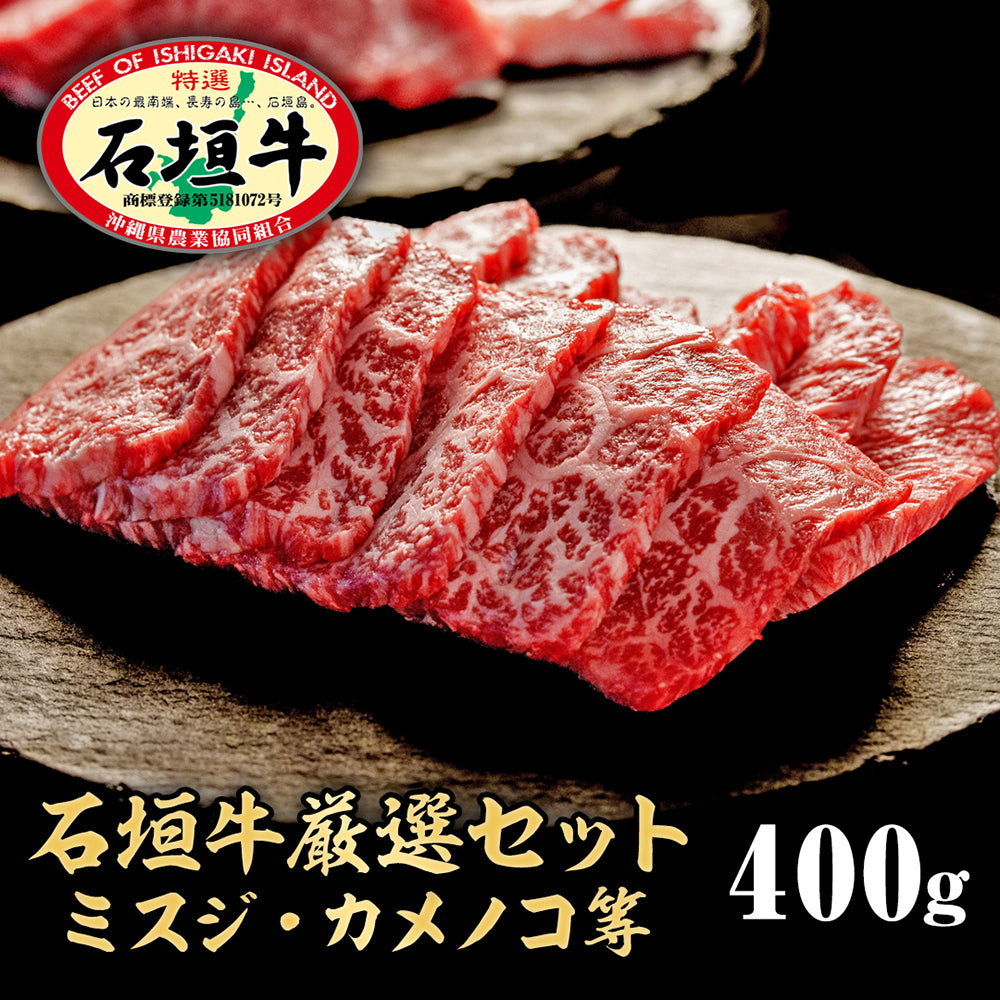 【石垣牛希少部位セット】赤身系200g + 脂系200g 【国産ブランド牛】