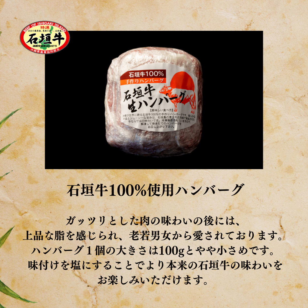 【特選ハンバーグ】石垣牛100%ハンバーグ【国産ブランド牛】