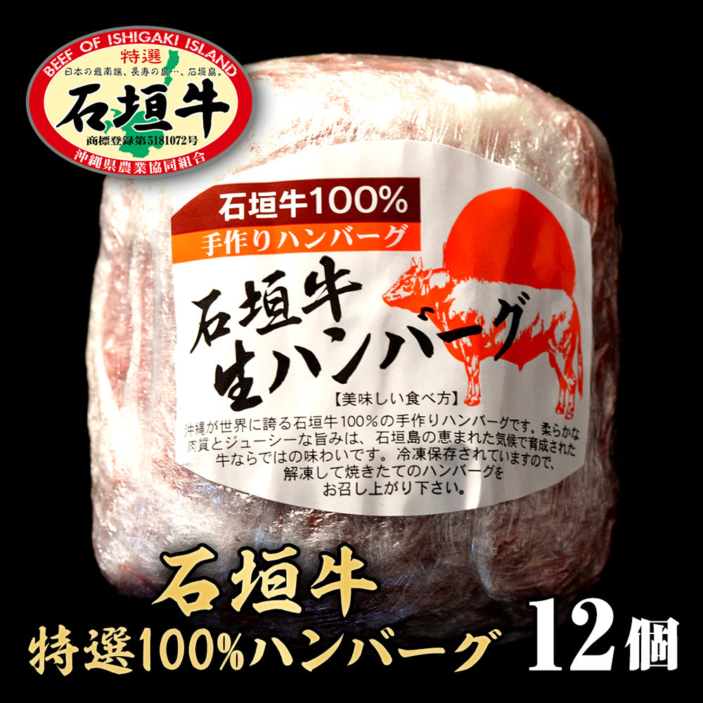 【特選ハンバーグ】石垣牛100%ハンバーグ【国産ブランド牛】
