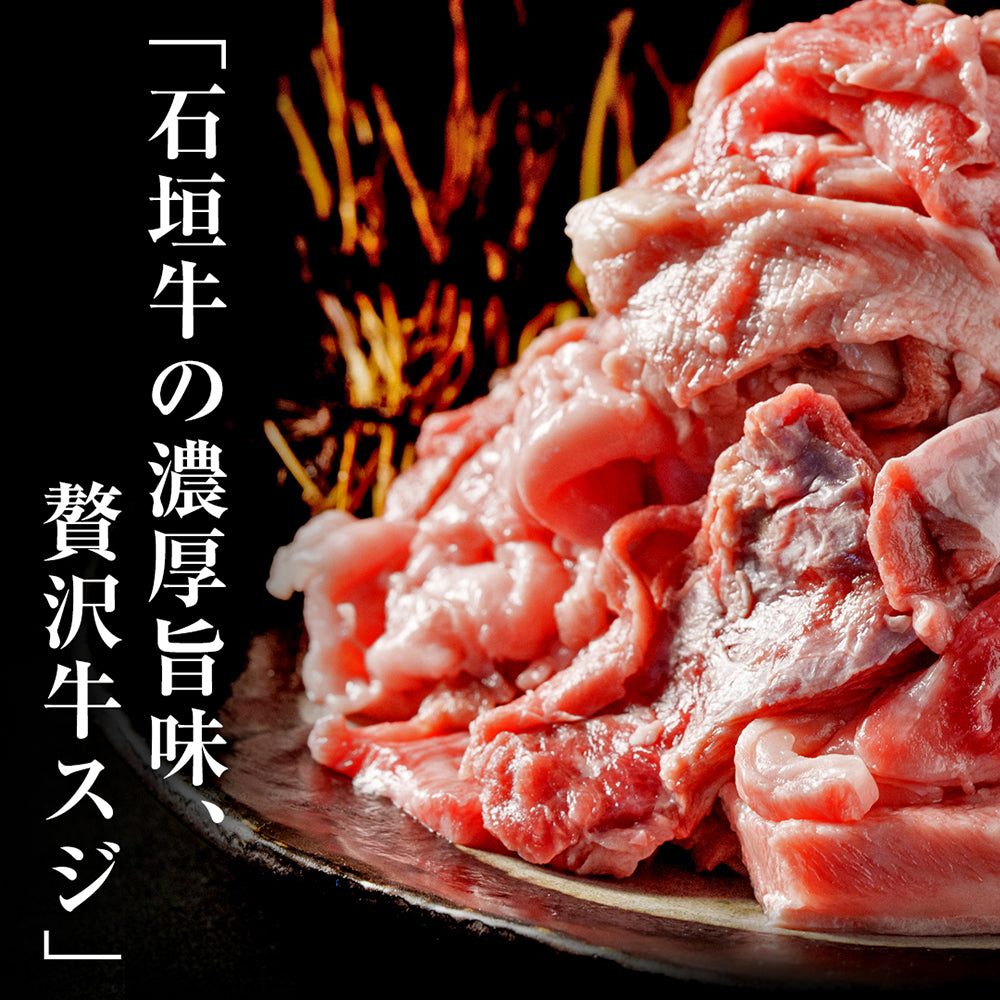 【国産黒毛和牛スジ肉】石垣牛すじ【国産ブランド牛】