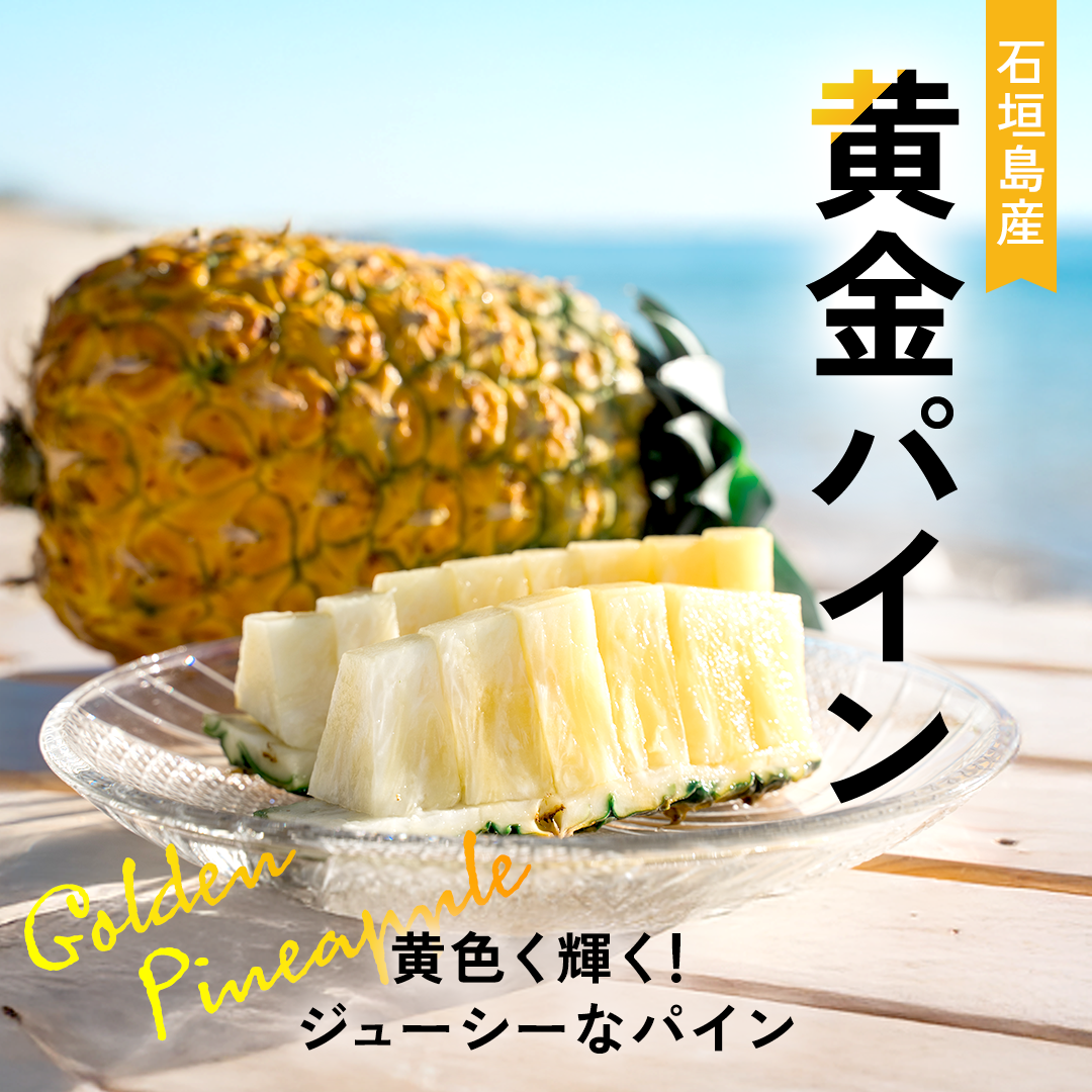 2026年夏出荷予定】黄金パイン「予約先行受付」 – i-shop石垣