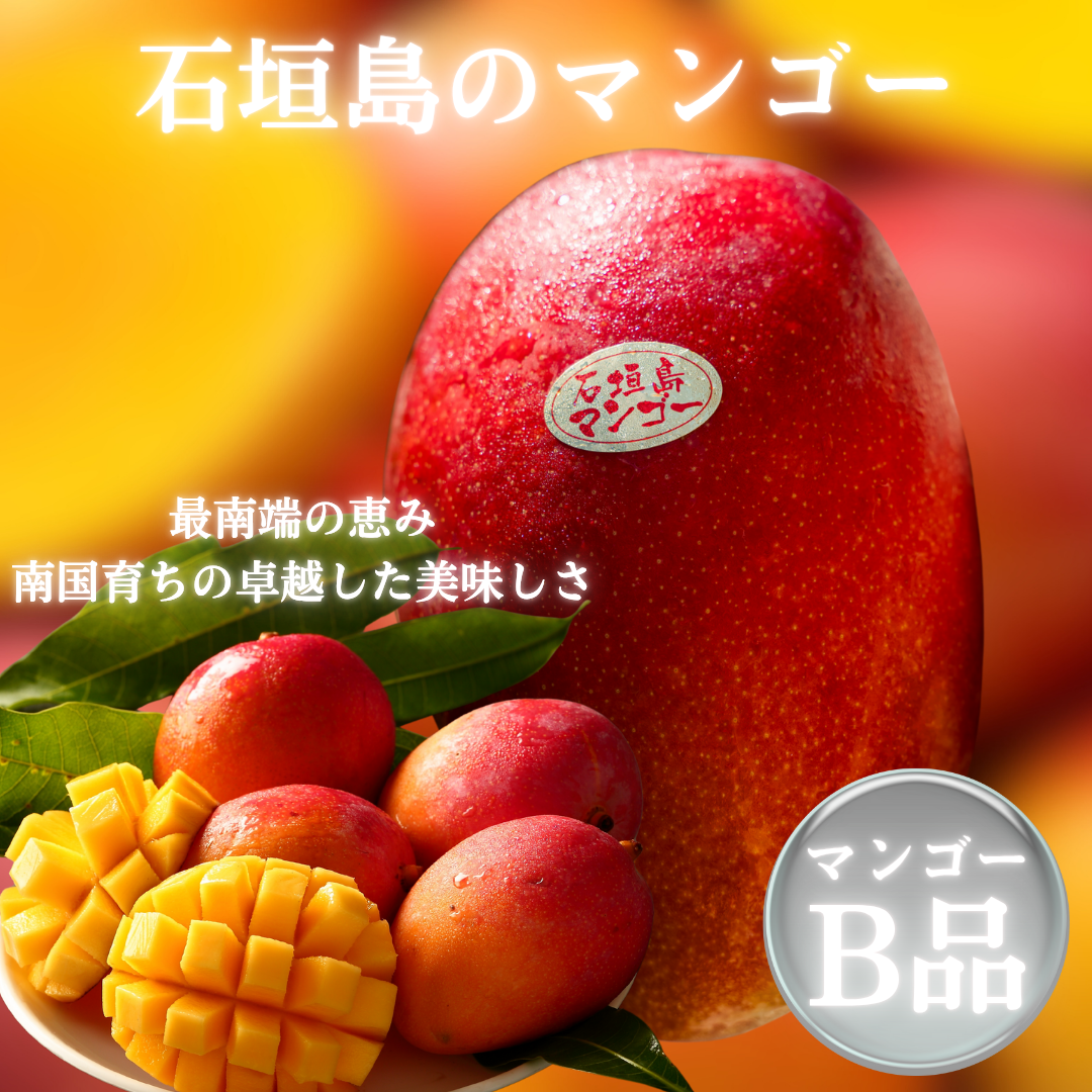 2026年夏出荷予定】石垣島産訳ありマンゴー「予約先行受付」 – i-shop石垣