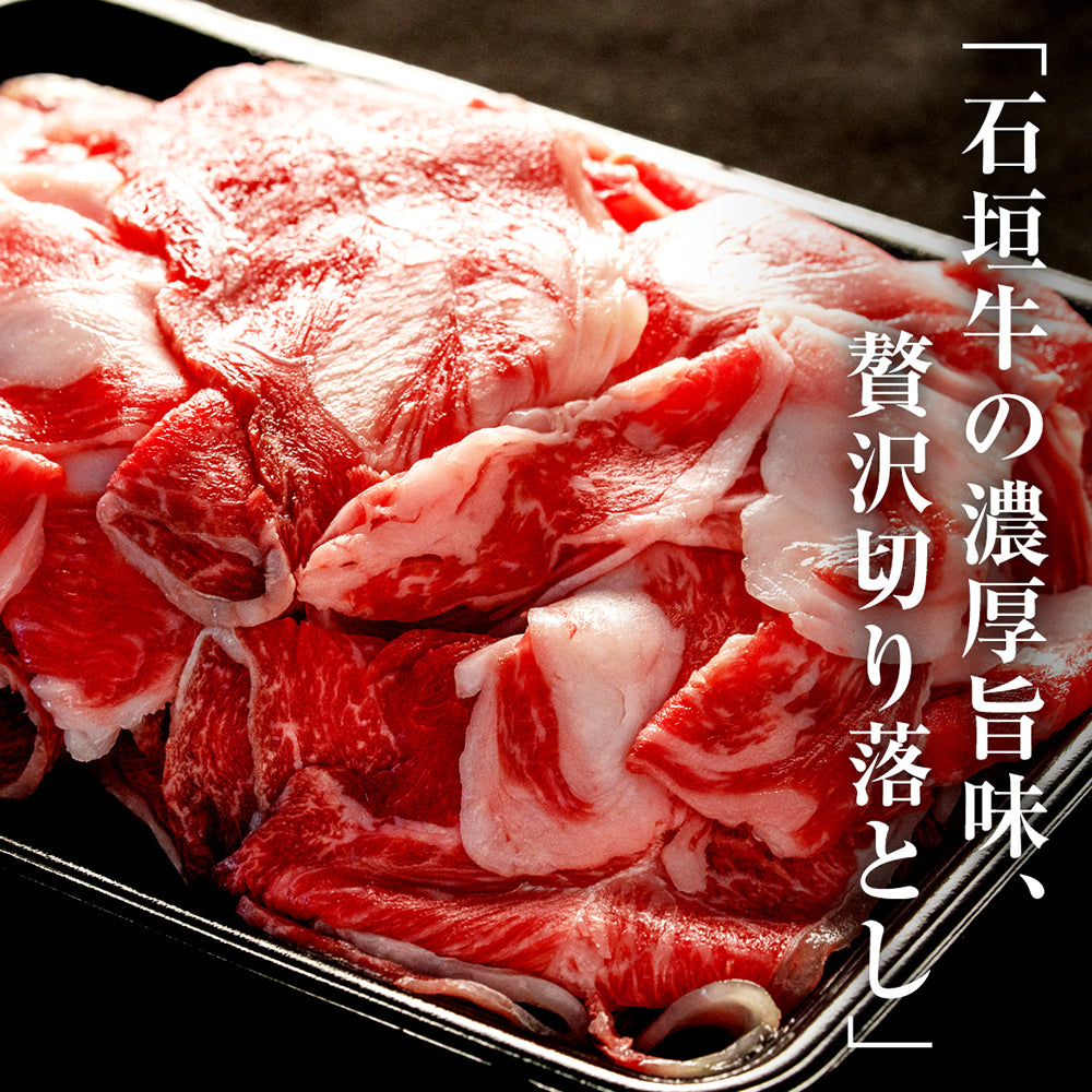 【石垣島から直送】石垣牛切り落とし肉【国産ブランド牛】