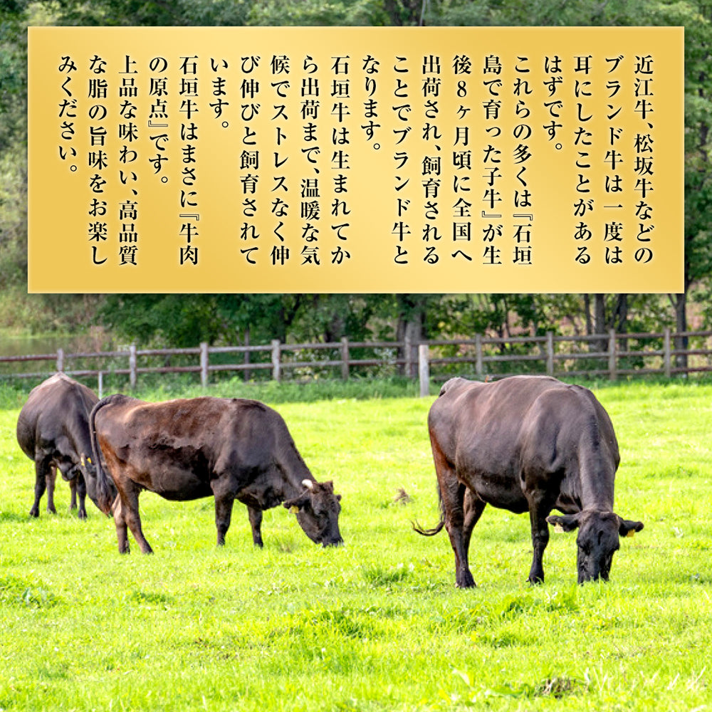 【特選ハンバーグ】石垣牛100%ジューシーハンバーグ【国産ブランド牛】