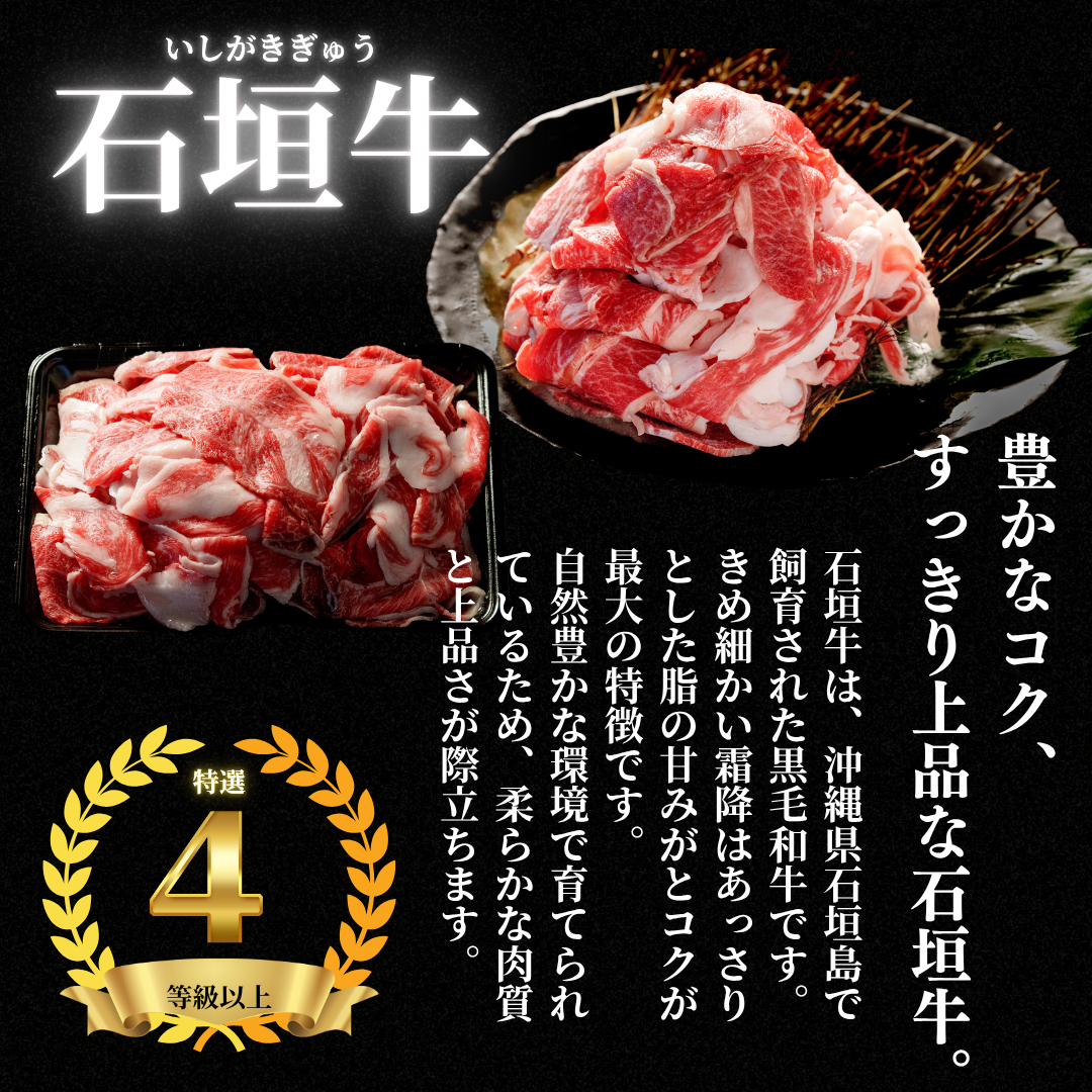 【石垣島から直送】石垣牛切り落とし肉【国産ブランド牛】