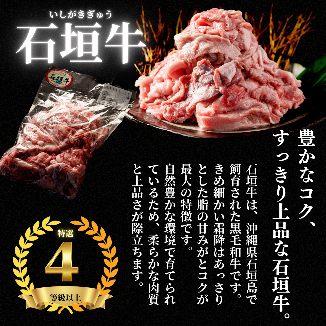 【国産黒毛和牛スジ肉】石垣牛すじ【国産ブランド牛】