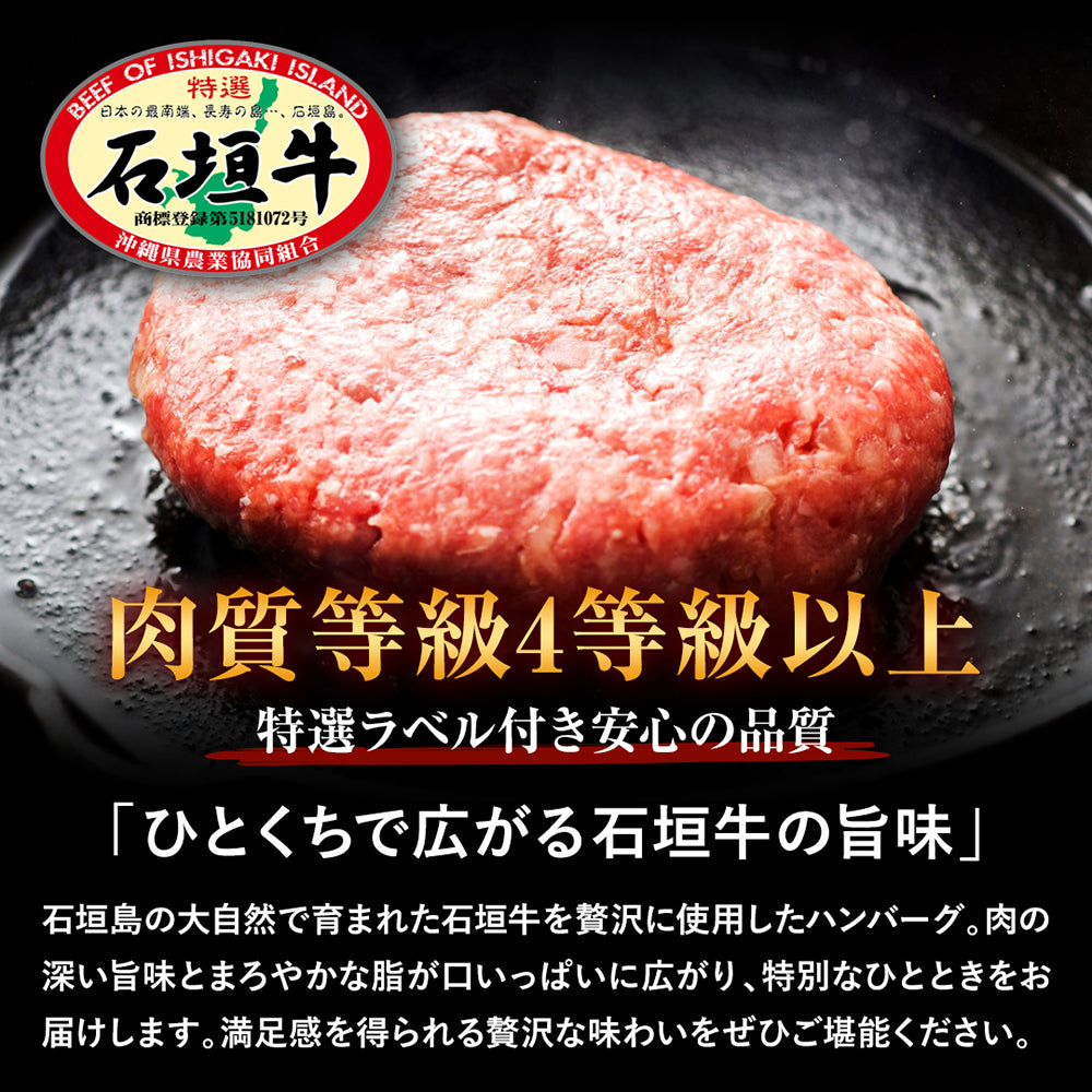 【特選ハンバーグ】石垣牛100%ハンバーグ【国産ブランド牛】