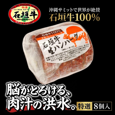 【特選ハンバーグ】石垣牛100%ジューシーハンバーグ【国産ブランド牛】