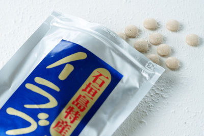 【健康補助食品】今話題の!イラブー錠剤タイプ【琉球滋養 命薬】