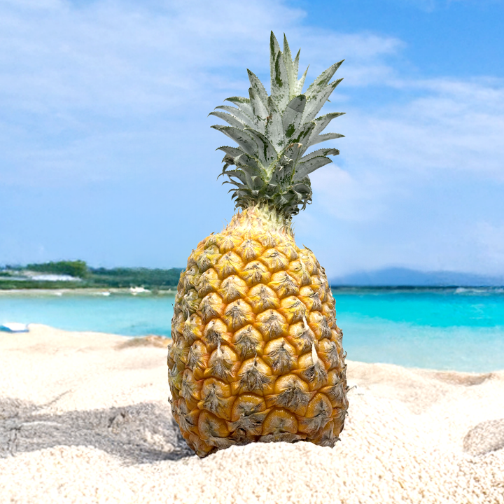 スナックパイン