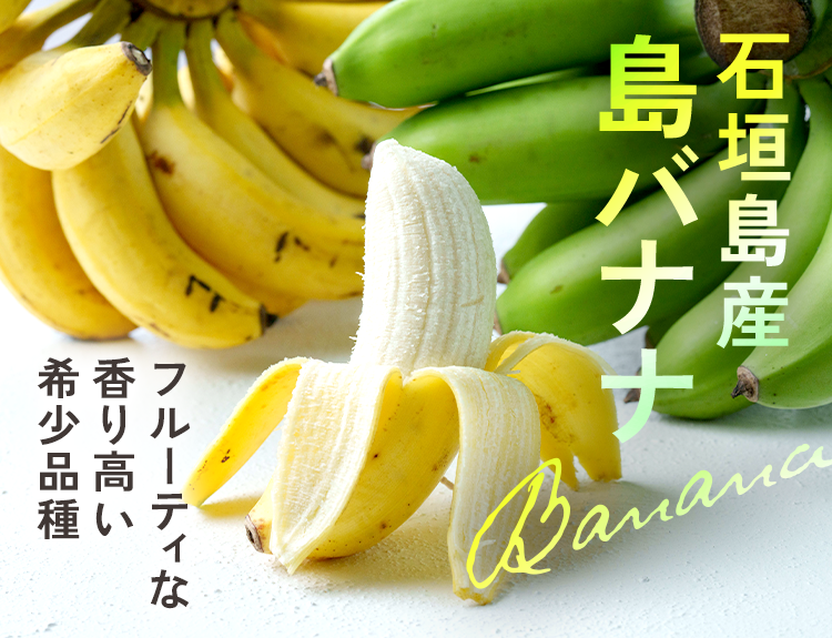 【期間限定セール開催中！】石垣島産島バナナ🍌