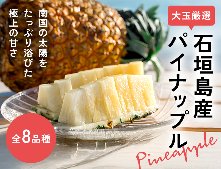 もうすぐパインの収穫スタート！先行予約受付中！