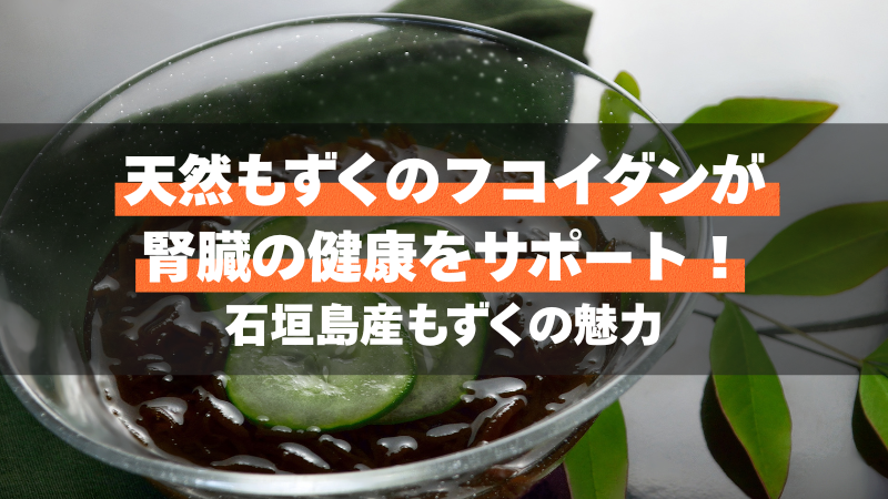天然もずくのフコイダンが腎臓の健康をサポート！石垣島産もずくの魅力