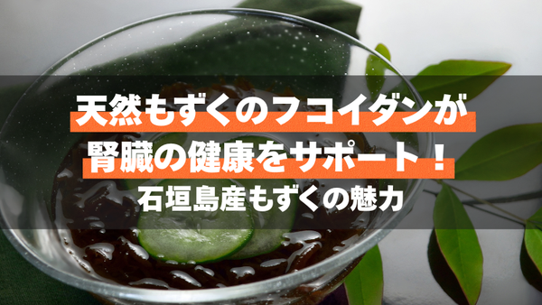 天然もずくのフコイダンが腎臓の健康をサポート！石垣島産もずくの魅力