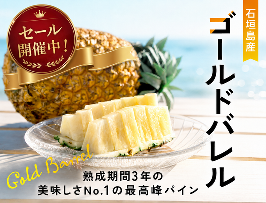 【期間限定】ゴールドバレルのセール開催中！