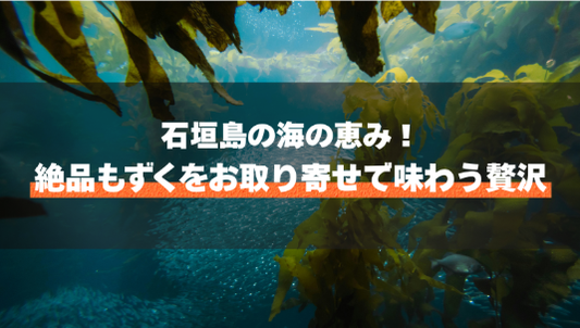 石垣島の海の恵み！絶品もずくをお取り寄せで味わう贅沢