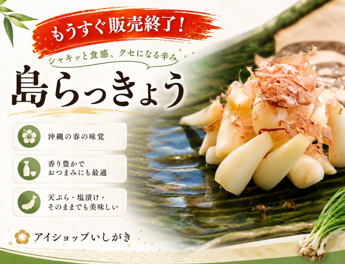 🌺ラスト5セット限定🌺 島らっきょう今季最終セール開催中🎉