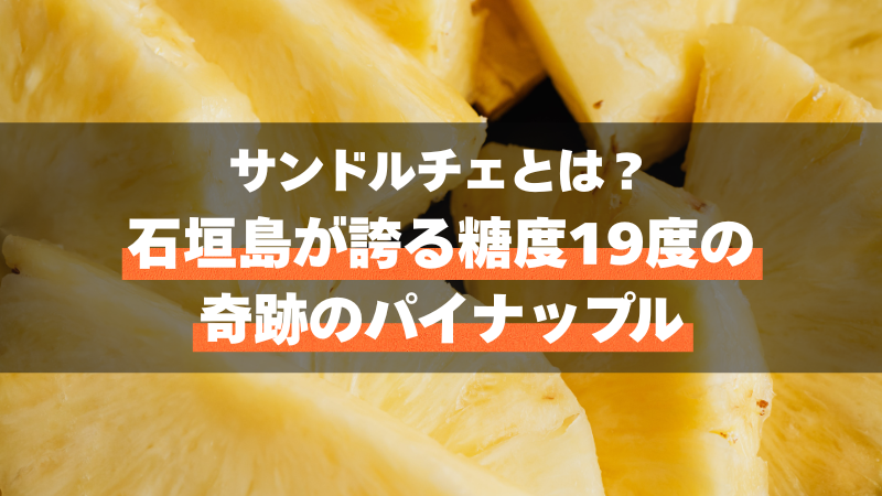 サンドルチェとは？石垣島が誇る糖度19度の奇跡のパイナップル