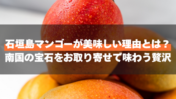 石垣島マンゴーが美味しい理由とは?南国の宝石をお取り寄せで味わう贅沢