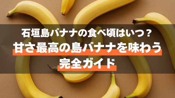 石垣島バナナの食べ頃はいつ?甘さ最高の島バナナを味わう完全ガイド