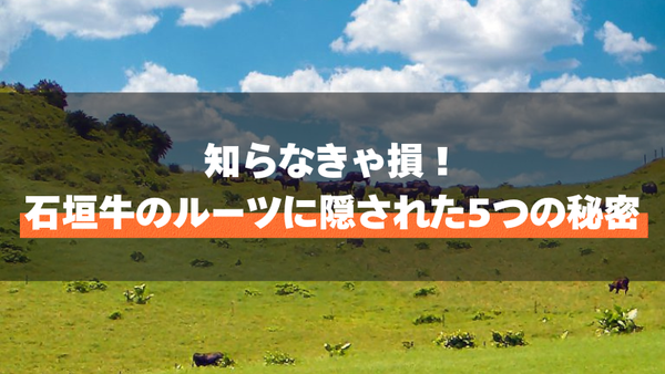 知らなきゃ損！石垣牛のルーツに隠された5つの秘密