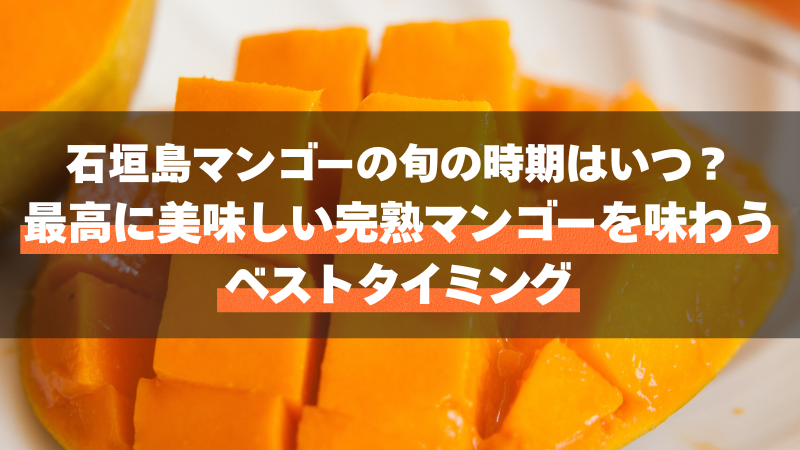 石垣島マンゴーの旬の時期はいつ？最高に美味しい完熟マンゴーを味わうベストタイミング