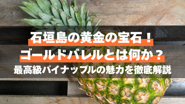 石垣島の黄金の宝石!ゴールドバレルとは何か?最高級パイナップルの魅力を徹底解説