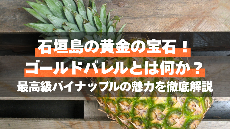 石垣島の黄金の宝石！ゴールドバレルとは何か？最高級パイナップルの魅力を徹底解説