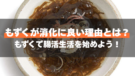 もずくが消化に良い理由とは？もずくで腸活生活を始めよう！