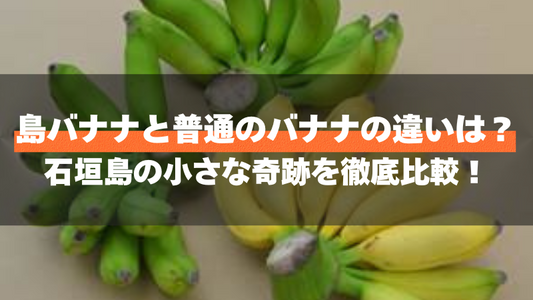 島バナナと普通のバナナの違いは？石垣島の小さな奇跡を徹底比較！