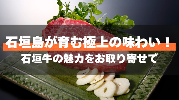 石垣島が育む極上の味わい！石垣牛の魅力をお取り寄せで