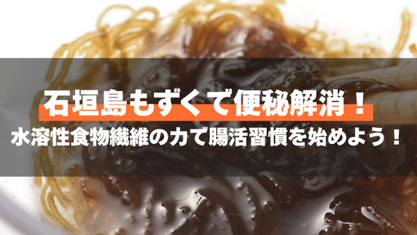石垣島もずくで便秘解消！水溶性食物繊維の力で腸活習慣を始めよう！
