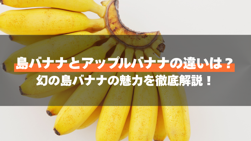 島バナナとアップルバナナの違いは？幻の島バナナの魅力を徹底解説！