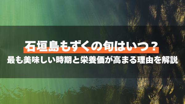 石垣島もずくの旬はいつ？最も美味しい時期と栄養価が高まる理由を解説