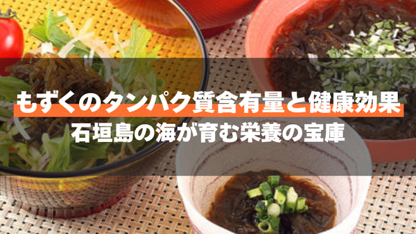 もずくのタンパク質含有量と健康効果|石垣島の海が育む栄養の宝庫