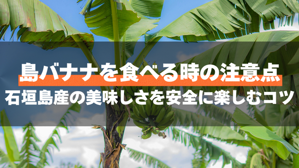 島バナナを食べる時の注意点｜石垣島産の美味しさを安全に楽しむコツ