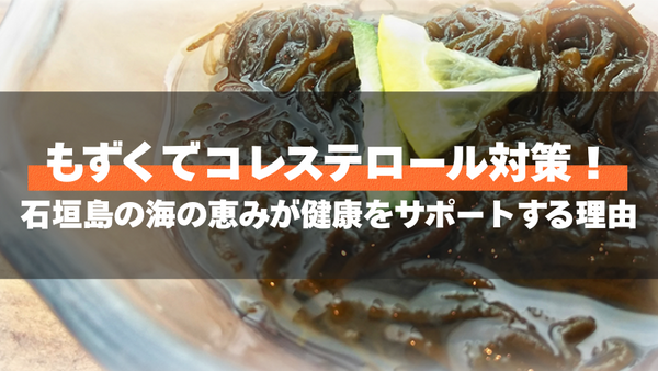 もずくでコレステロール対策!石垣島の海の恵みが健康をサポートする理由