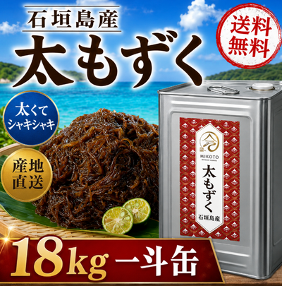 【2026年新もずく】ツルシャキッ！極太の石垣島産養殖もずく【業務用一斗缶】