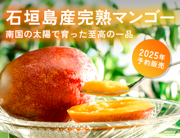 石垣島産完熟マンゴー|i-shop石垣