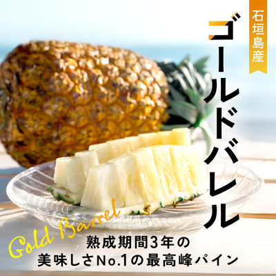【2025年予約受付中】ゴールドバレル【6月中旬より順次発送】