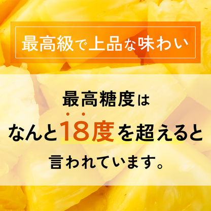 【2025年予約受付中】ゴールドバレル【6月中旬より順次発送】
