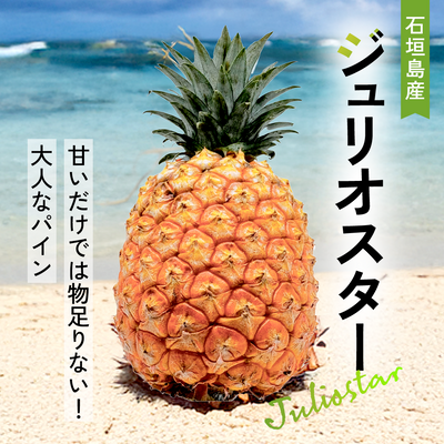 【2025年予約受付中】ジュリオスター【6月中旬より順次発送】