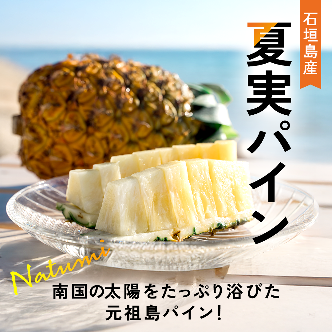 【2025年予約受付中】ハワイ種パイン【7月上旬より順次発送】