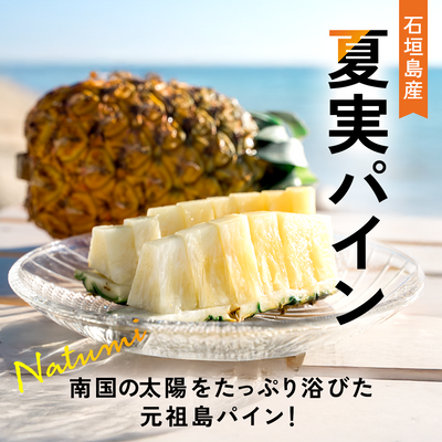 【2025年予約受付中】ハワイ種パイン【7月上旬より順次発送】