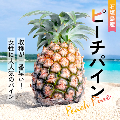 【2025年予約受付中】ピーチパイン【4月中旬より順次発送】