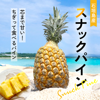 【2025年予約受付中】スナックパイン【4月中旬より順次発送】