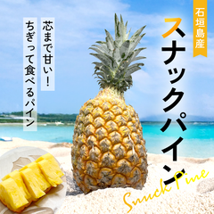 【2025年予約受付中】スナックパイン【4月中旬より順次発送】