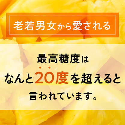 【2025年予約受付中】スナックパイン【4月中旬より順次発送】